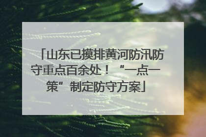 山东已摸排黄河防汛防守重点百余处！“一点一策”制定防守方案