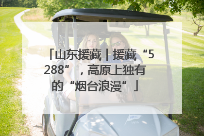 山东援藏｜援藏“5288”，高原上独有的“烟台浪漫”