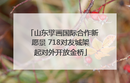 山东擘画国际合作新愿景 718对友城架起对外开放金桥