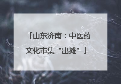 山东济南：中医药文化市集“出摊”
