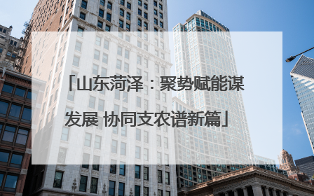 山东菏泽：聚势赋能谋发展 协同支农谱新篇