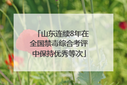 山东连续8年在全国禁毒综合考评中保持优秀等次