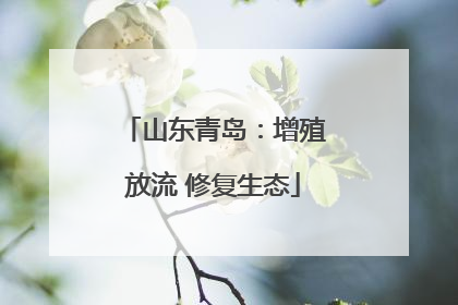 山东青岛：增殖放流 修复生态