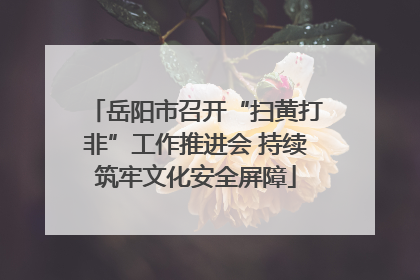 岳阳市召开“扫黄打非”工作推进会 持续筑牢文化安全屏障