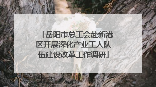 岳阳市总工会赴新港区开展深化产业工人队伍建设改革工作调研