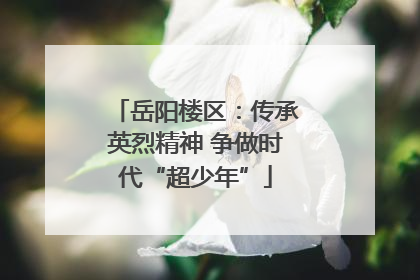 岳阳楼区：传承英烈精神 争做时代“超少年”