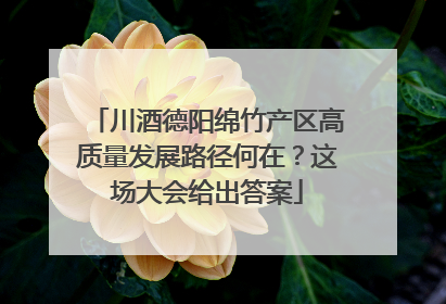 川酒德阳绵竹产区高质量发展路径何在？这场大会给出答案