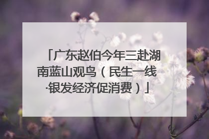 广东赵伯今年三赴湖南蓝山观鸟（民生一线·银发经济促消费）