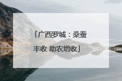 广西罗城：桑蚕丰收 助农增收