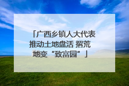 广西乡镇人大代表推动土地盘活 撂荒地变“致富园”