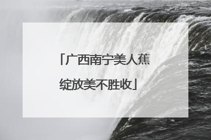 广西南宁美人蕉绽放美不胜收