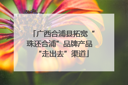 广西合浦县拓宽“珠还合浦”品牌产品“走出去”渠道