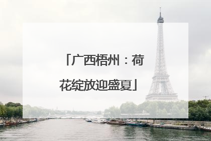 广西梧州：荷花绽放迎盛夏