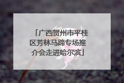 广西贺州市平桂区芳林马蹄专场推介会走进哈尔滨