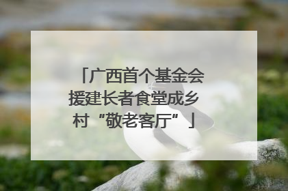 广西首个基金会援建长者食堂成乡村“敬老客厅”