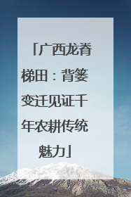 广西龙脊梯田：背篓变迁见证千年农耕传统魅力