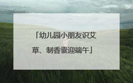 幼儿园小朋友识艾草、制香囊迎端午