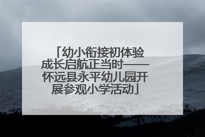 幼小衔接初体验 成长启航正当时——怀远县永平幼儿园开展参观小学活动