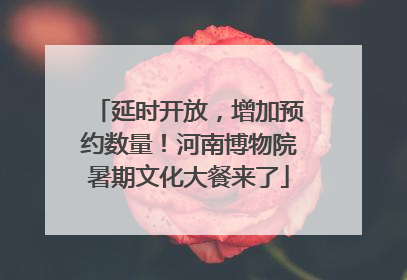 延时开放，增加预约数量！河南博物院暑期文化大餐来了