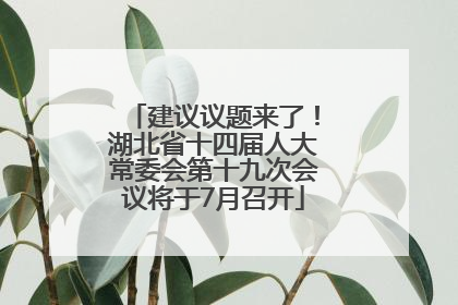 建议议题来了！湖北省十四届人大常委会第十九次会议将于7月召开