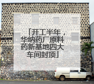 开工半年，华纳药厂原料药新基地四大车间封顶