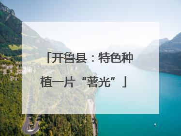 开鲁县：特色种植一片“薯光”