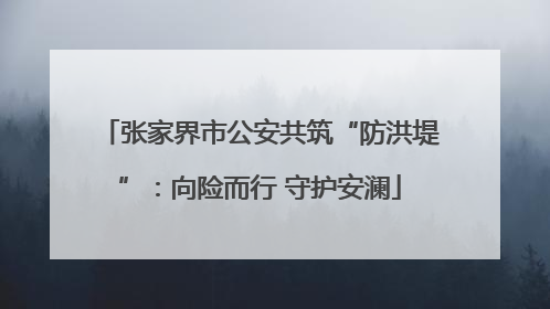 张家界市公安共筑“防洪堤”：向险而行 守护安澜