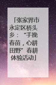 张家界市永定区桥头乡：“手挽春苗，心耕田野”春耕体验活动