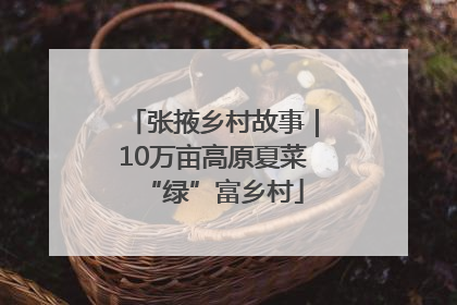 张掖乡村故事｜10万亩高原夏菜“绿”富乡村