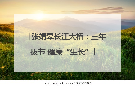 张靖皋长江大桥：三年拔节 健康“生长”