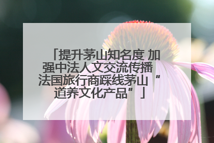提升茅山知名度 加强中法人文交流传播 法国旅行商踩线茅山“道养文化产品”