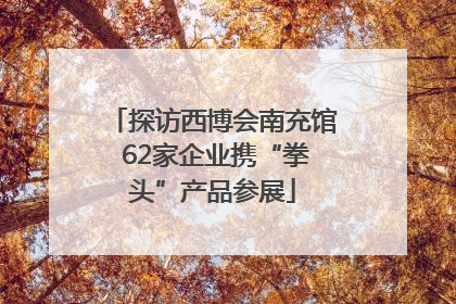 探访西博会南充馆 62家企业携“拳头”产品参展