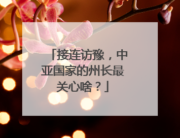 接连访豫，中亚国家的州长最关心啥？
