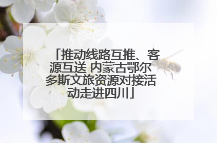 推动线路互推、客源互送 内蒙古鄂尔多斯文旅资源对接活动走进四川