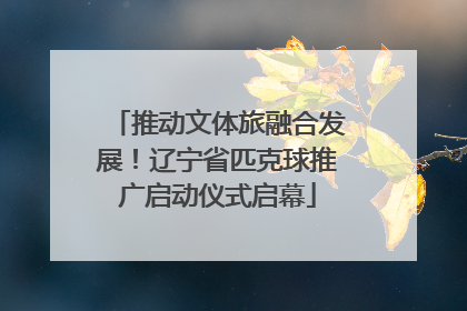 推动文体旅融合发展！辽宁省匹克球推广启动仪式启幕