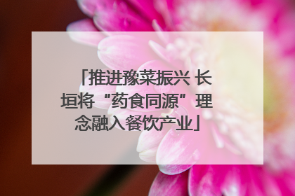 推进豫菜振兴 长垣将“药食同源”理念融入餐饮产业