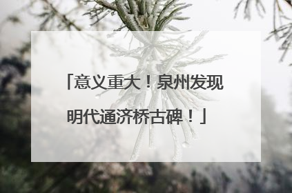 意义重大！泉州发现明代通济桥古碑！