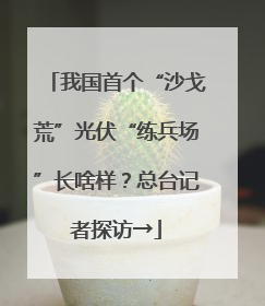 我国首个“沙戈荒”光伏“练兵场”长啥样？总台记者探访→