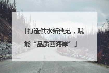 打造供水新典范，赋能“品质西海岸”