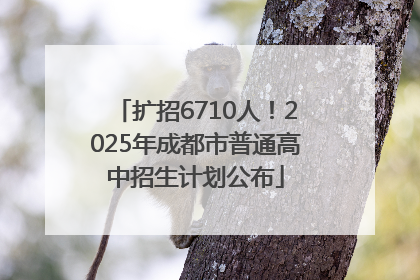 扩招6710人！2025年成都市普通高中招生计划公布