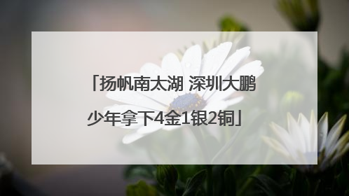 扬帆南太湖 深圳大鹏少年拿下4金1银2铜