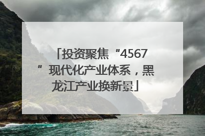 投资聚焦“4567”现代化产业体系，黑龙江产业换新景