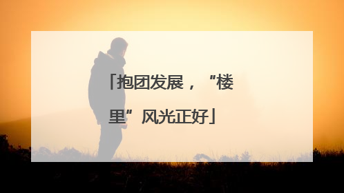 抱团发展，“楼里”风光正好