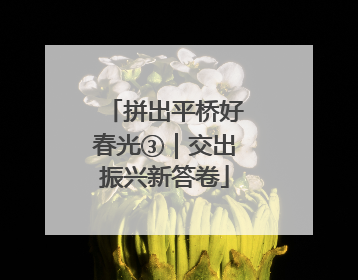 拼出平桥好春光③｜交出振兴新答卷