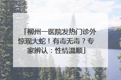 柳州一医院发热门诊外惊现大蛇！有毒无毒？专家辨认：性情温顺