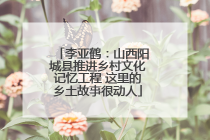 李亚鹤：山西阳城县推进乡村文化记忆工程 这里的乡土故事很动人