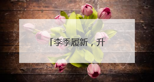 李季履新，升任央企副总
