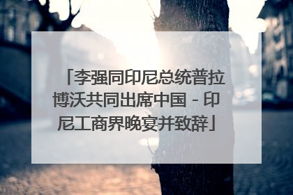李强同印尼总统普拉博沃共同出席中国－印尼工商界晚宴并致辞