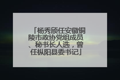 杨秀颀任安徽铜陵市政协党组成员、秘书长人选，曾任枞阳县委书记