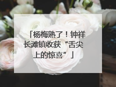 杨梅熟了！钟祥长滩镇收获“舌尖上的惊喜”
